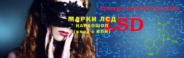 молекула духа Покров