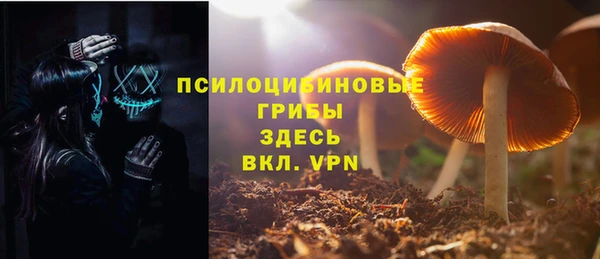 молекула духа Покров