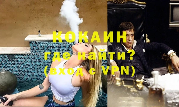 сатива Покачи