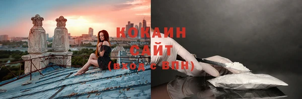 молекула духа Покров