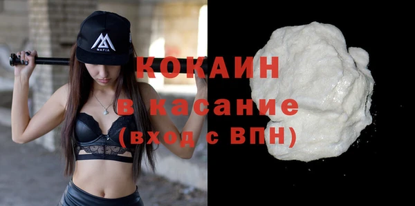 сатива Покачи