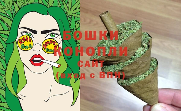 молекула духа Покров