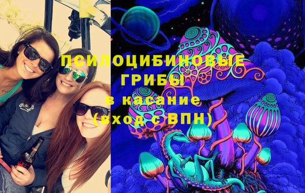 ПСИЛОЦИБИНОВЫЕ ГРИБЫ Пролетарск