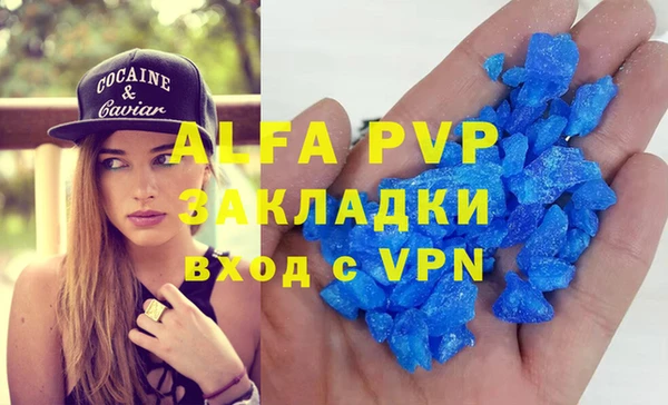 сатива Покачи