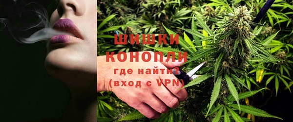 сатива Покачи