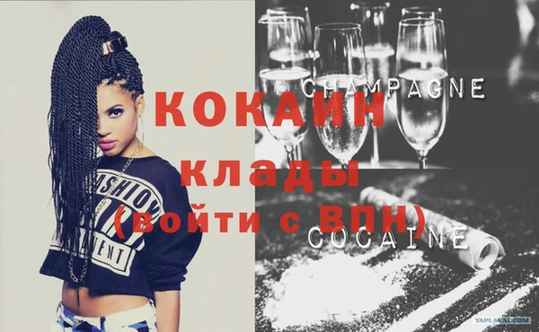 молекула духа Покров