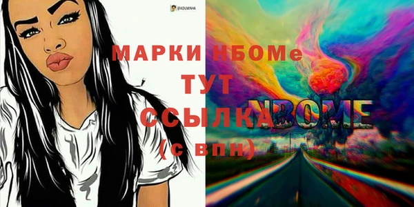 сатива Покачи