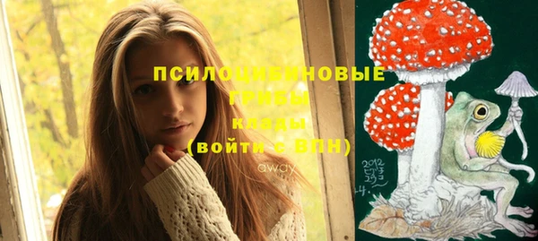 сатива Покачи