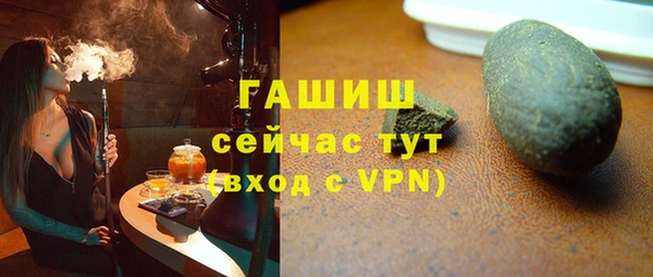 сатива Покачи