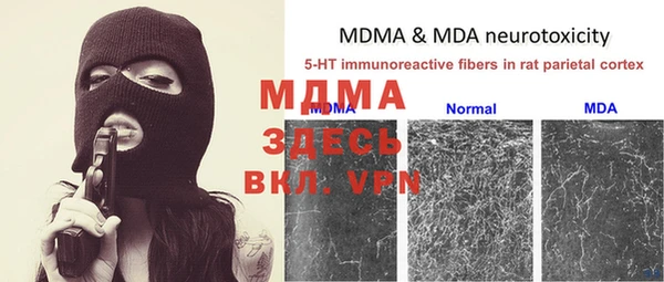 молекула духа Покров