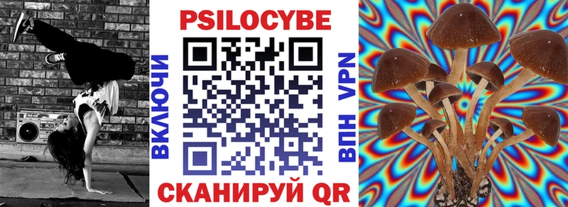 Галлюциногенные грибы MAGIC MUSHROOMS  нарко площадка телеграм  Апшеронск  наркота 