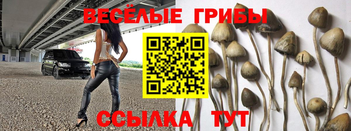 Псилоцибиновые грибы ЛСД  Галлюциногенные грибы Magic Shrooms  где можно купить   Апшеронск  Вход с VPN 
