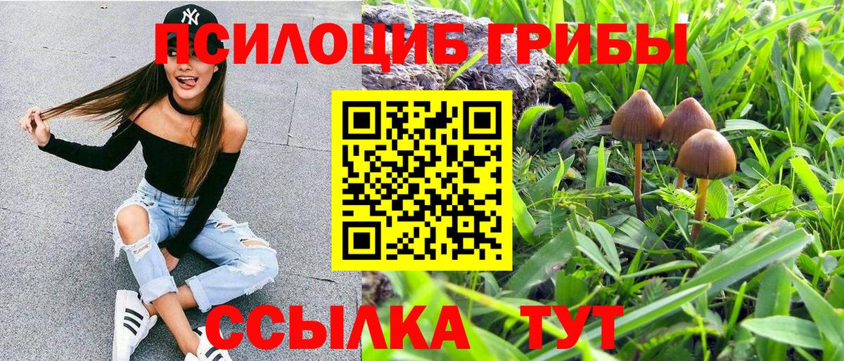 Псилоцибиновые грибы ЛСД  где найти   Апшеронск 